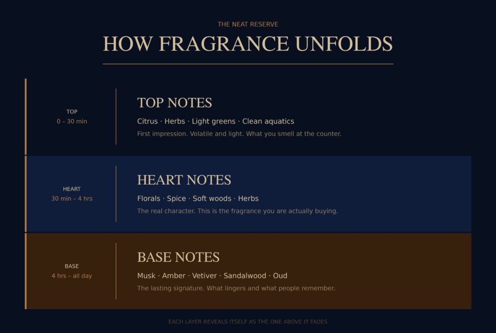 Fragrance note pyramid showing top heart and base notes for men's fragrance guide Australia